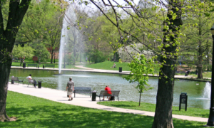 Monitoring Street Bins at parks